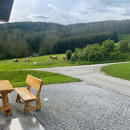 Ferienwohnung ,Hoizmann' Pinsdorf Esterno foto