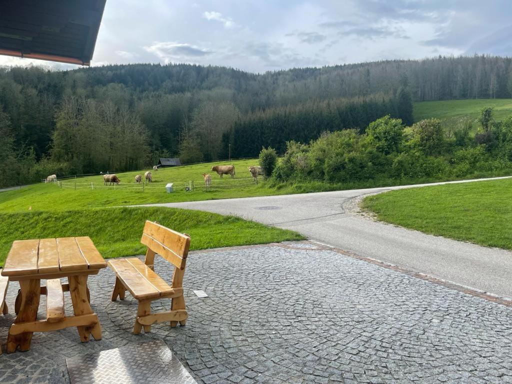 Ferienwohnung ,Hoizmann' Pinsdorf Esterno foto